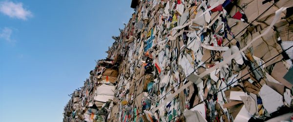 Műanyag legyen a csomagolás vagy a fákat vágjuk ki?