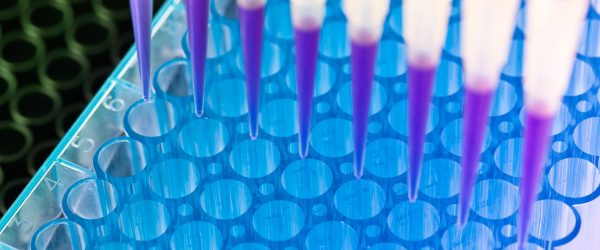 Génszerkesztés – így tudunk majd alkalmazkodni a klímaváltozáshoz?