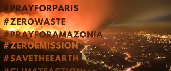 Hashtagekkel a klímaváltozás ellen – milyen irányba befolyásolja a közösségi média a környezet- és állatvédelmet?