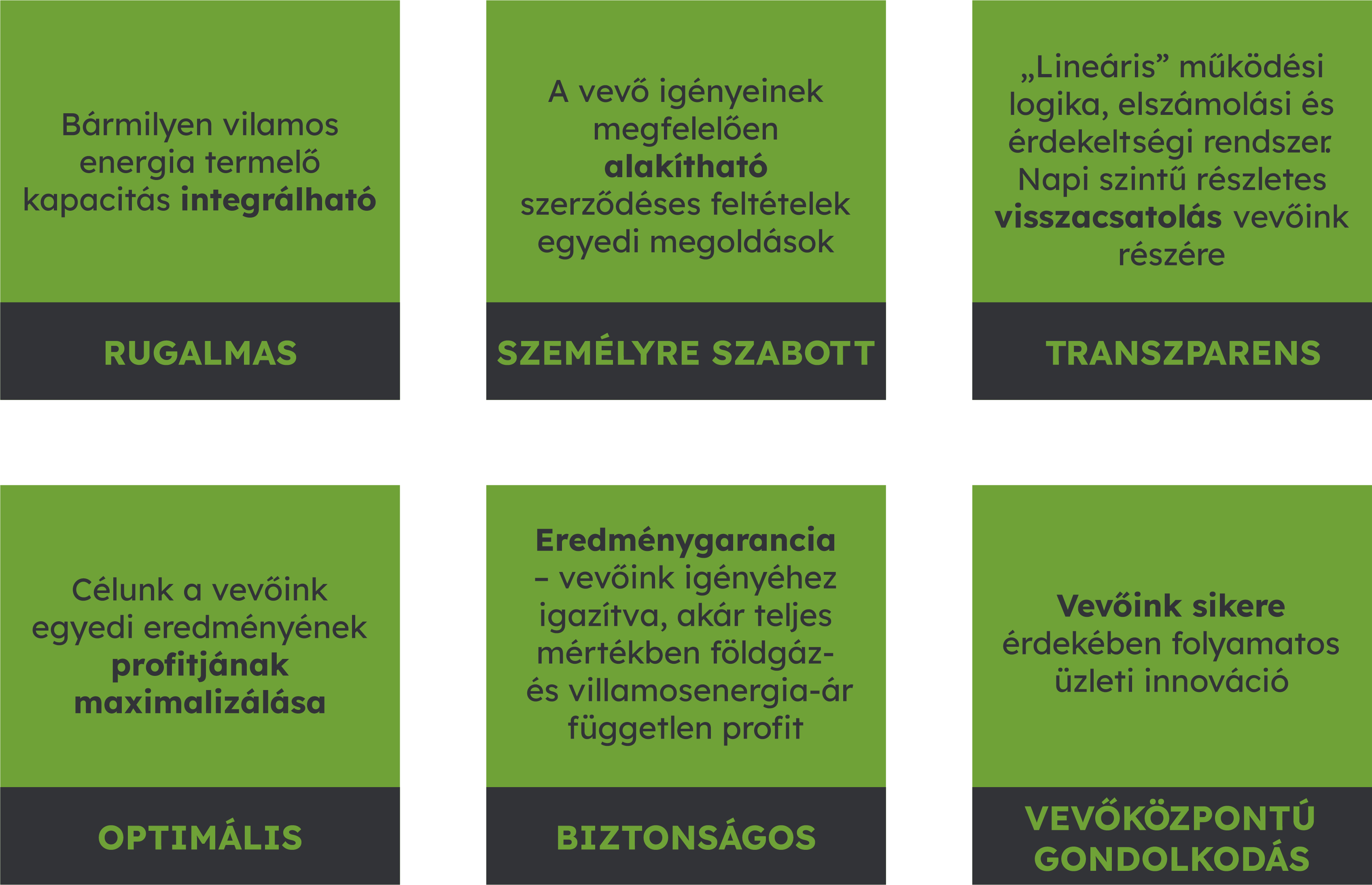 A több kisebb önálló termelő egységet összevonva egy nagy erőműként jelenik meg a piacon.